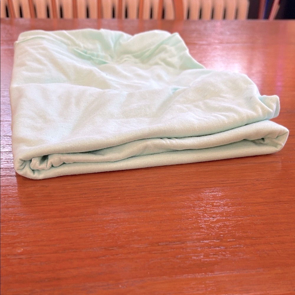 Light Icey Mint Green Cotton Jersey Fabric scrap